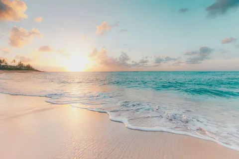 A sandy coast beside the sea