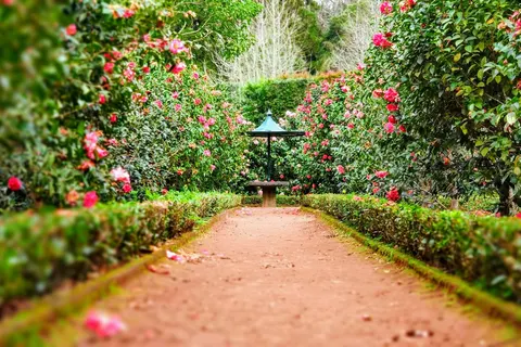 A garden with planting and a walking route