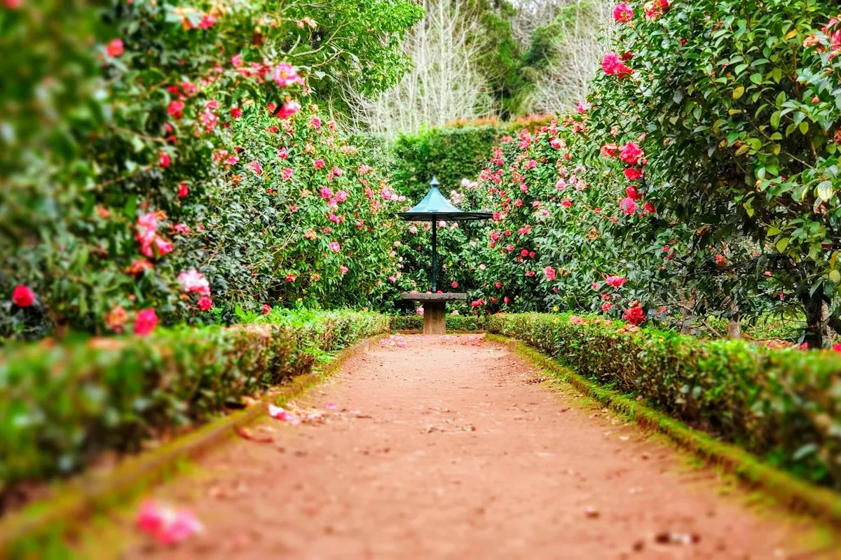 A garden with planting and a walking route