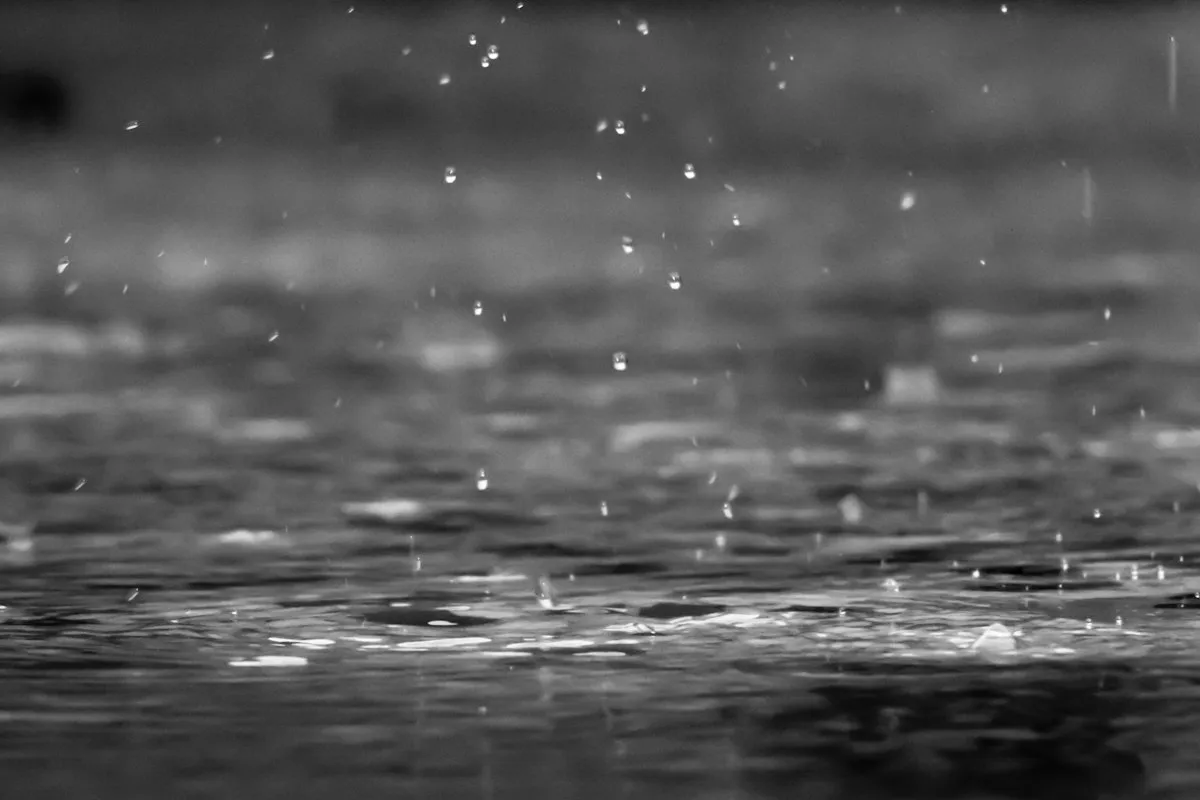 Raindrops on a surface