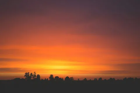 Warm evening light in a landscape