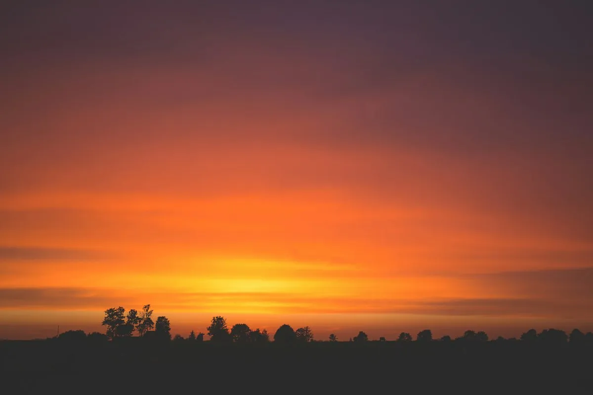 Warm evening light in a landscape
